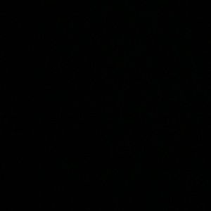 Meet your Posher, Braden